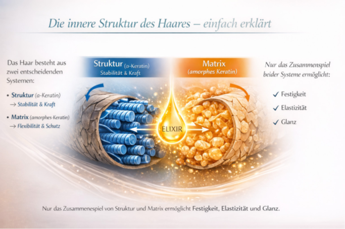 Innere structure des hairs with structure and Matrix erklärt